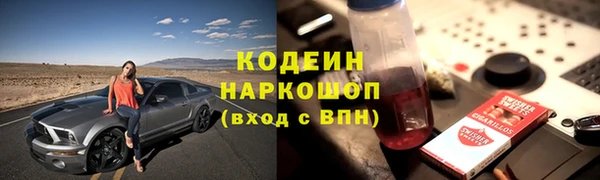 мдпв Лабытнанги