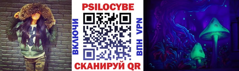 Купить закладки  Асбест  Псилоцибиновые грибы Cubensis 